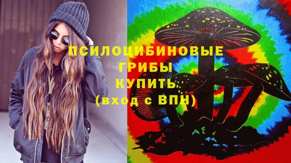 соль ск Алексеевка