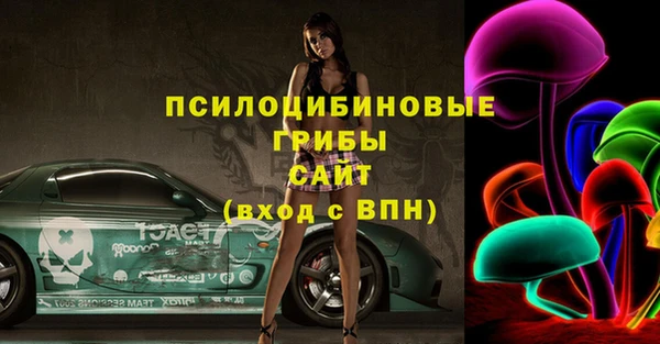 гашик Алзамай