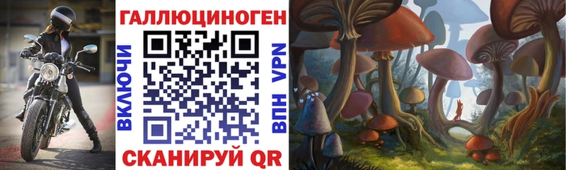 цены наркотик Безенчук Псилоцибиновые грибы MAGIC MUSHROOMS